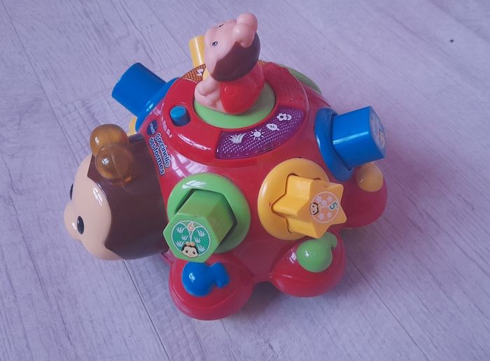 Coccinelle des formes - photo numéro 3