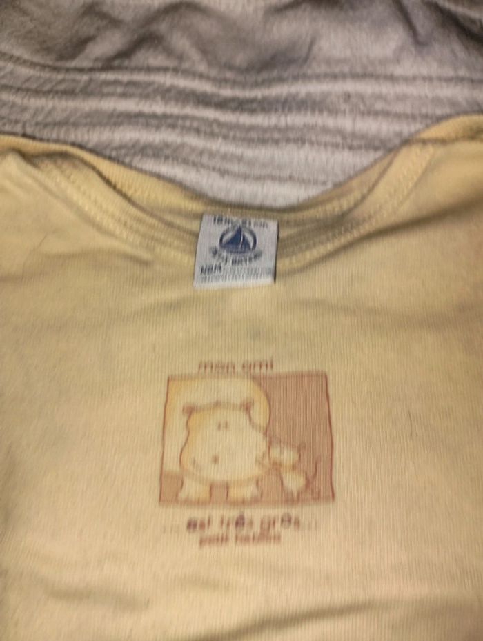 Lot de 3 body  petit bateau 18 mois - photo numéro 11