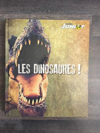 Livre dinosaures 