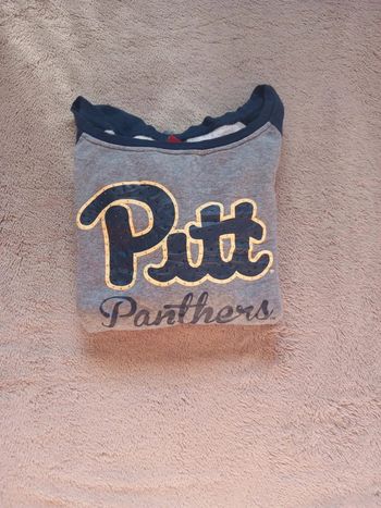 Pull/Sweat Vintage Colosseum Pitt Panthère