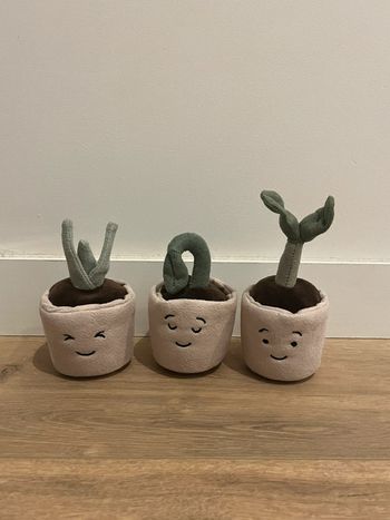 Trio silly seedling jellycat