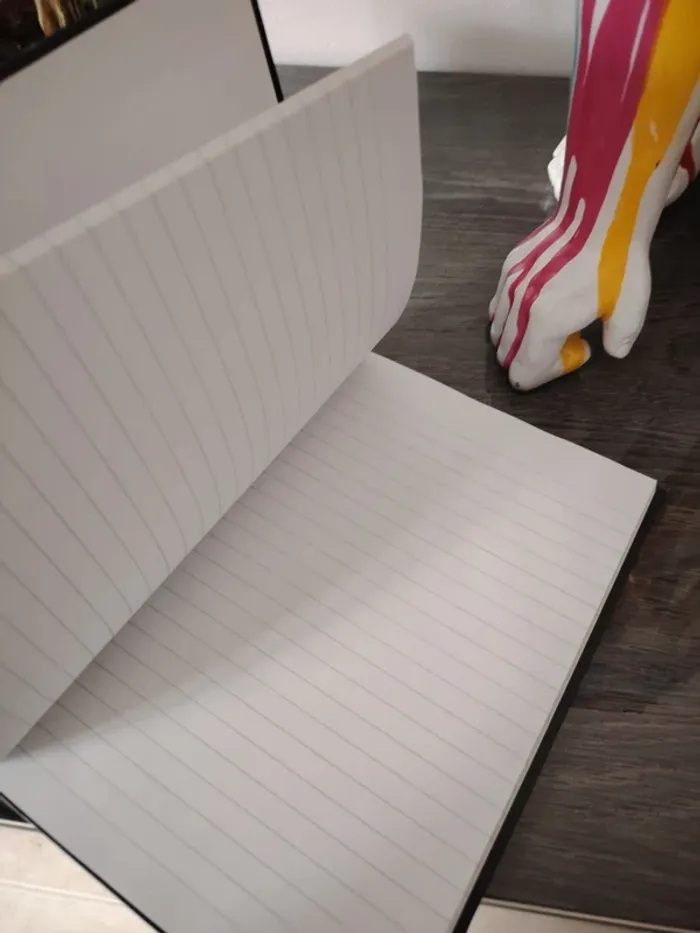 Petit cahier - photo numéro 3