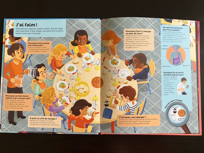 Livre éducatif Questions réponses Le corps humain - photo numéro 3