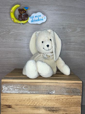 ACP17 doudou lapin 🐰 Anna club plush