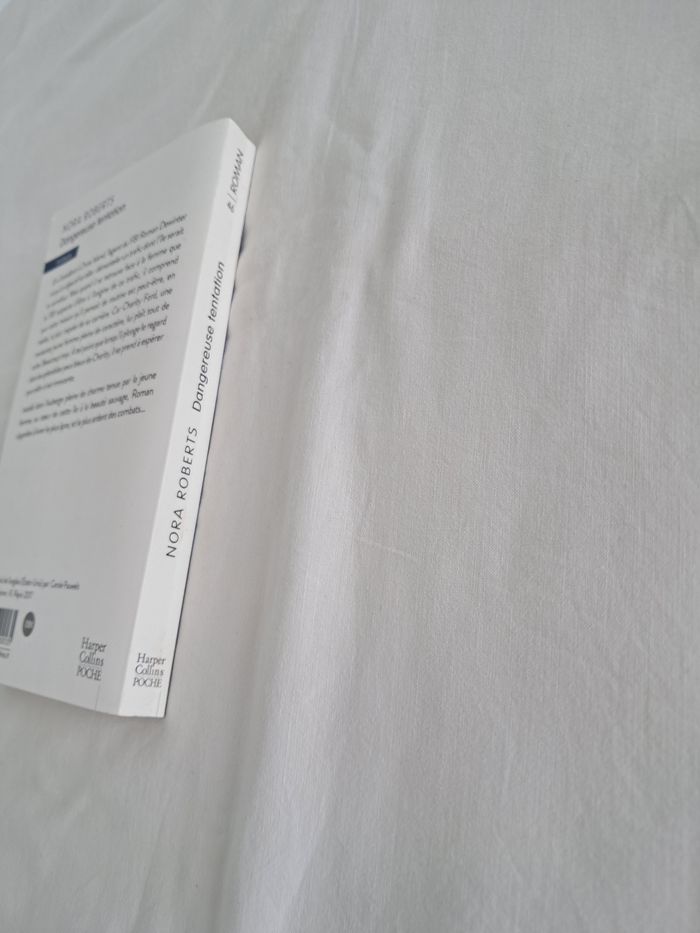 Livre Dangereuse tentation - photo numéro 3