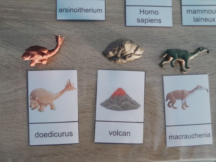 figurines + fiches nomenclature Montessori - la préhistoire - photo numéro 5