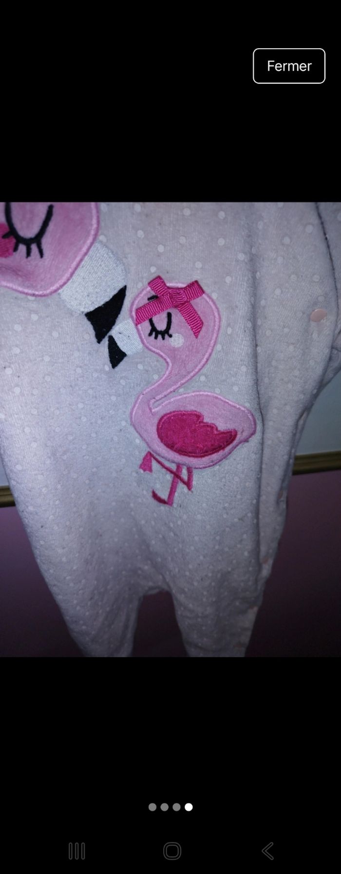 Grenouillère - photo numéro 4