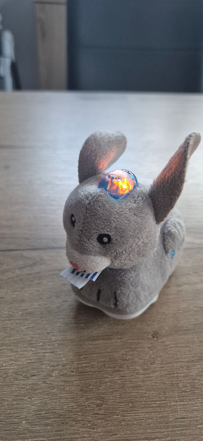Pinpin le lapin Tut Tut Animo - photo numéro 2