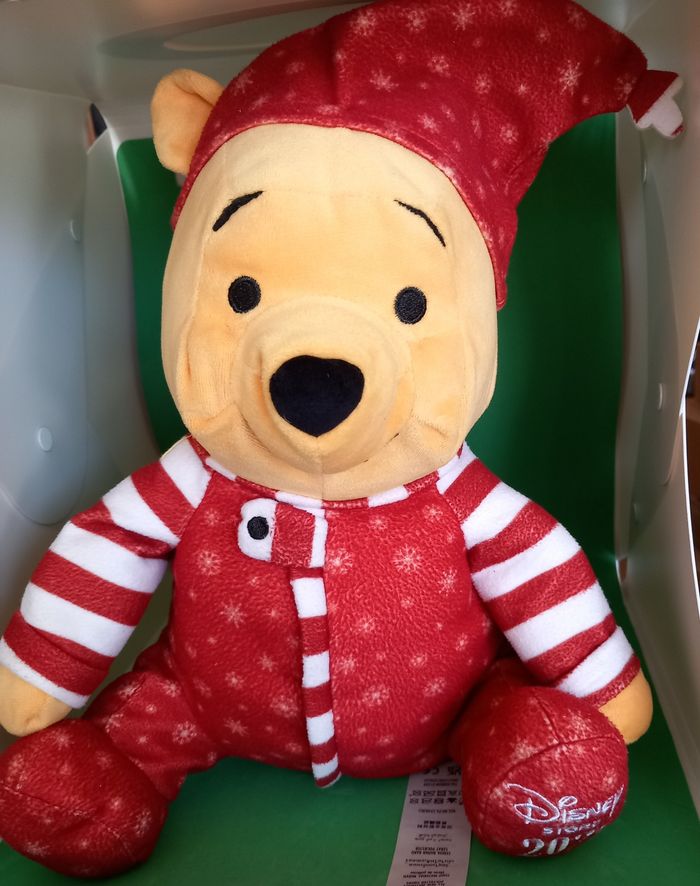 Peluche Disney Store 2021 Winnie the pooh - photo numéro 10