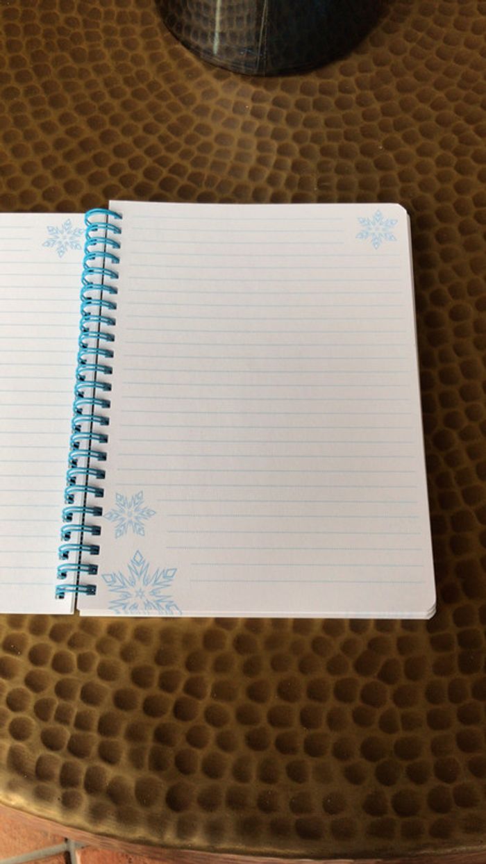 Carnet La reine des neiges - photo numéro 2