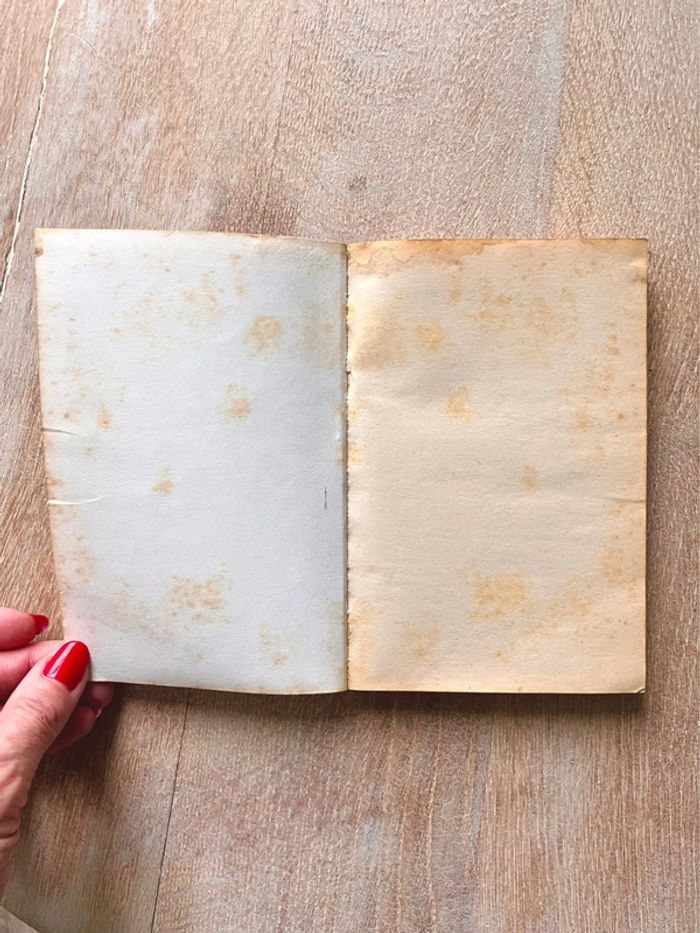 Livre de poche La Princesse de Clèves Madame de la Fayette - photo numéro 4