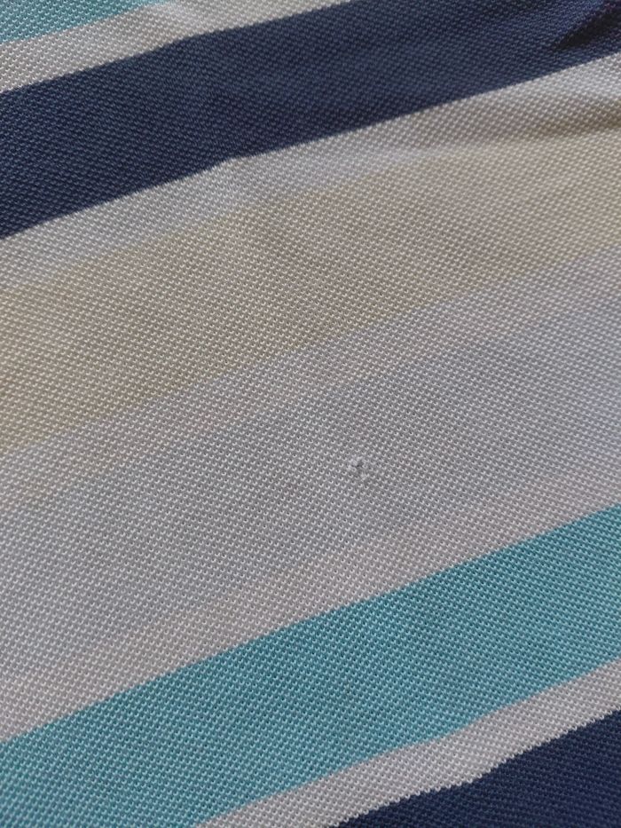 Polo lacoste - photo numéro 3