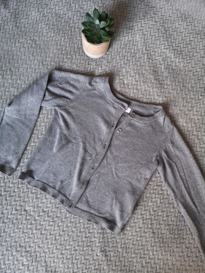 Gilet gris bestie