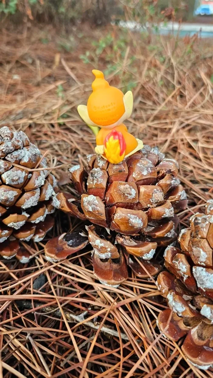 Super figurine Pokemon Nintendo Ouisticram - photo numéro 4