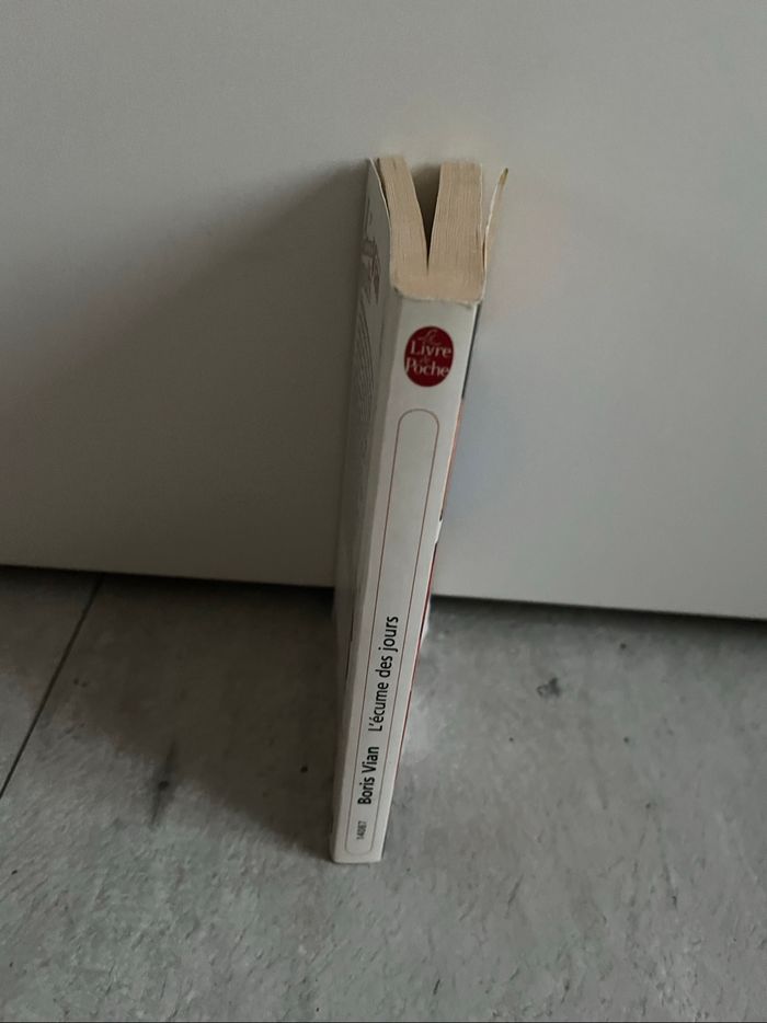 L’écume des jours de Boris Vian - photo numéro 3