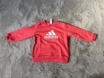 Pull adidas 12-18 mois