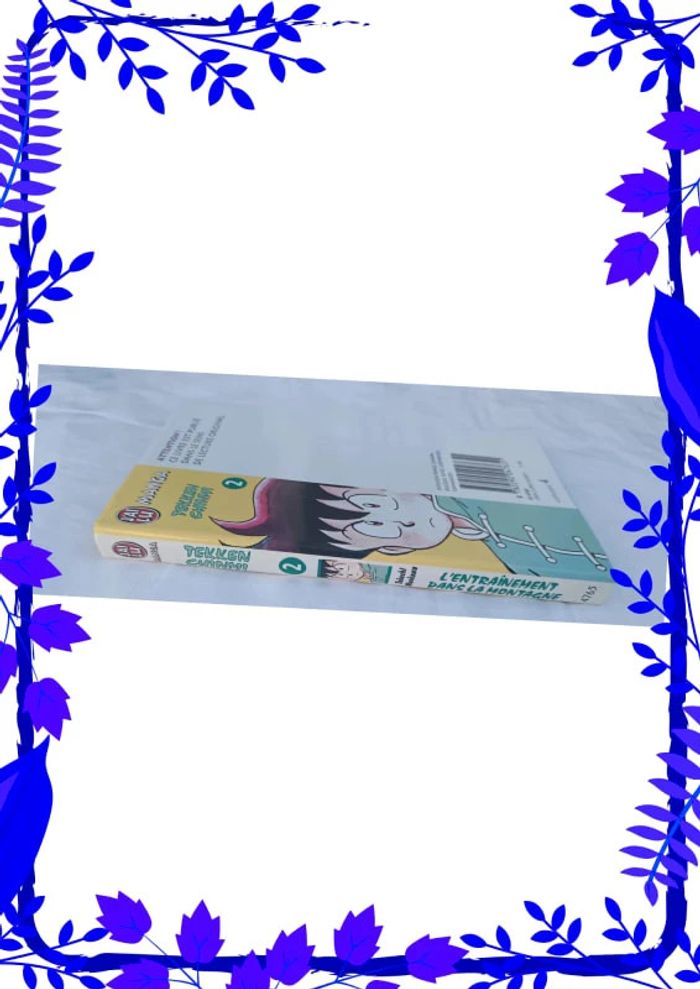 Tekken Chinmi : L'entraînement dans la montagne - photo numéro 4