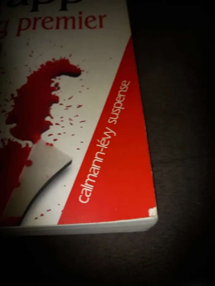 Livre japp sans premier - photo numéro 2
