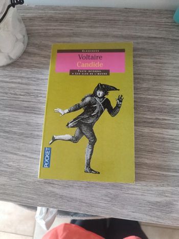 Voltaire Candide édition pocket