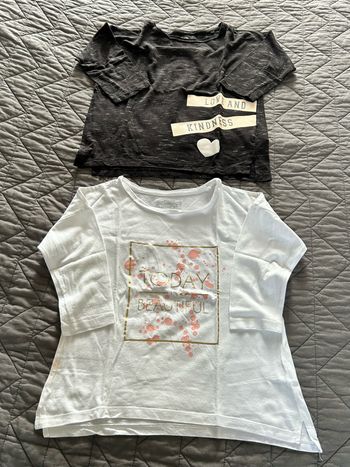 Lot 2 t-shirts fille manches 3/4
