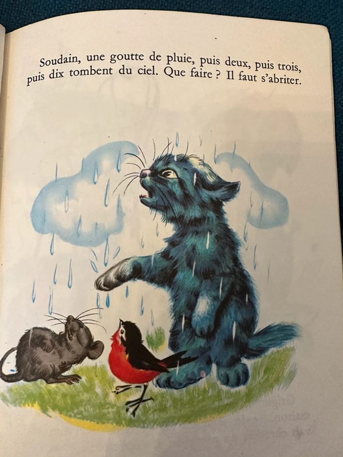 1976 Livre ancien carton Pouf le Chaton bleu Gentil coquelicot Hachette Pierre Probst (Caroline) - photo numéro 6