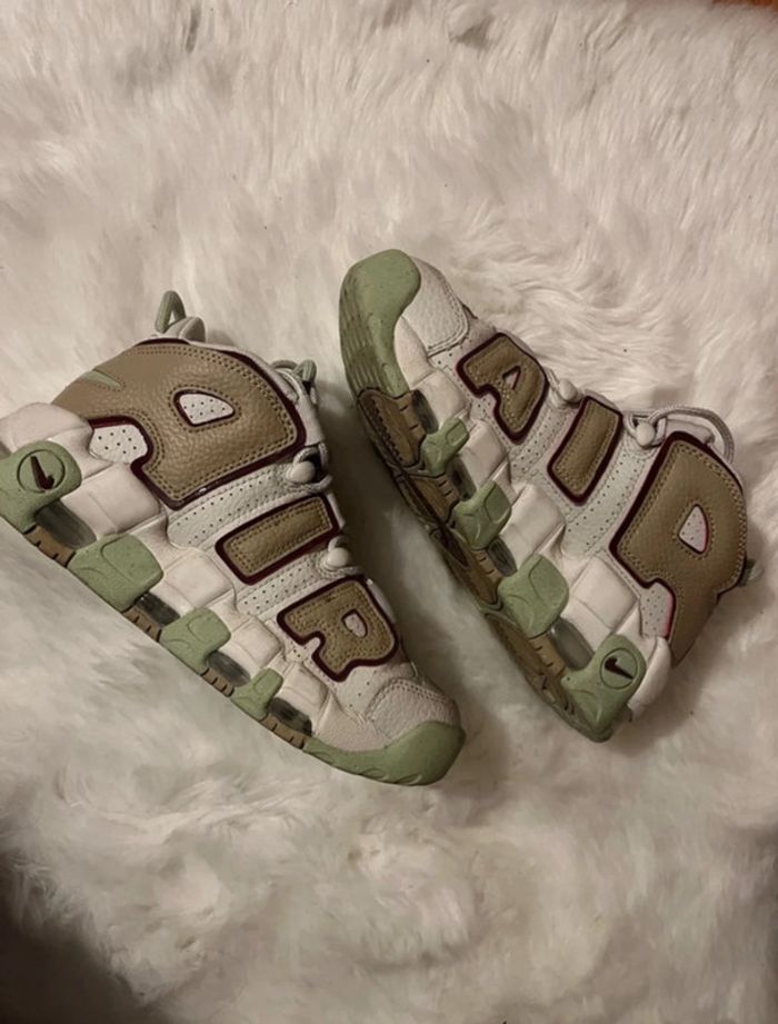 Uptempo light bone Alligator - photo numéro 2