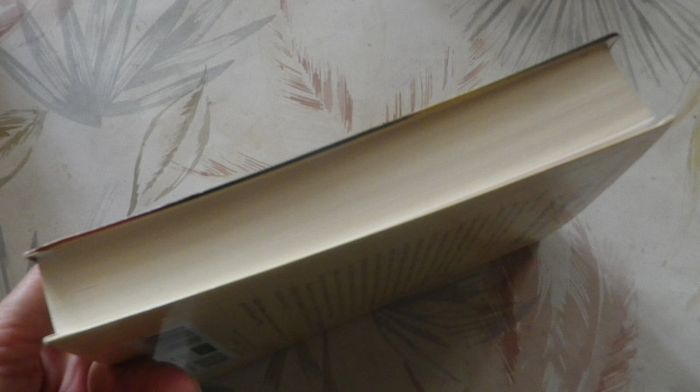 L'enfant de Bruges de Gilbert Sinoué Ed. Le Grand Livre du Mois - photo numéro 4