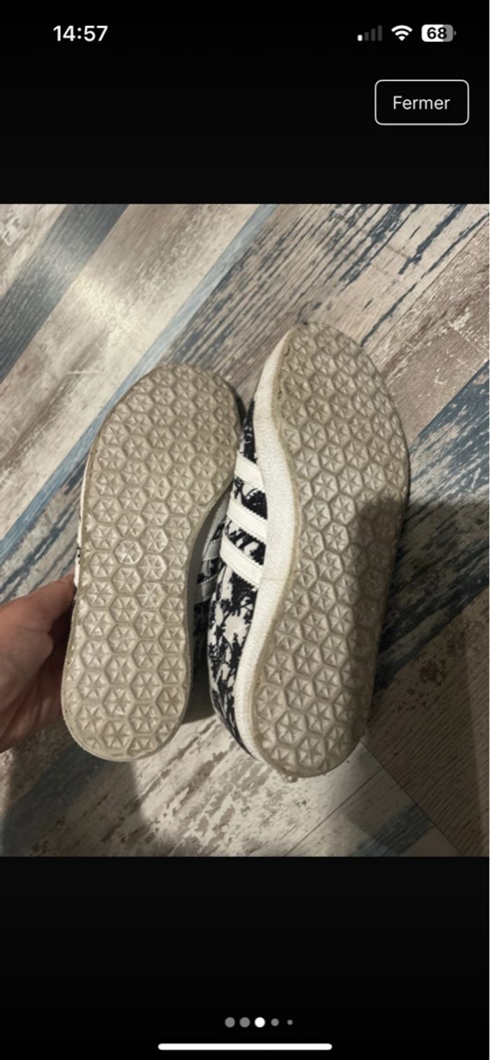 Gazelle - photo numéro 6