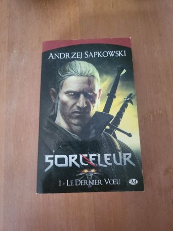 The witcher tome 1 - le dernier voeu