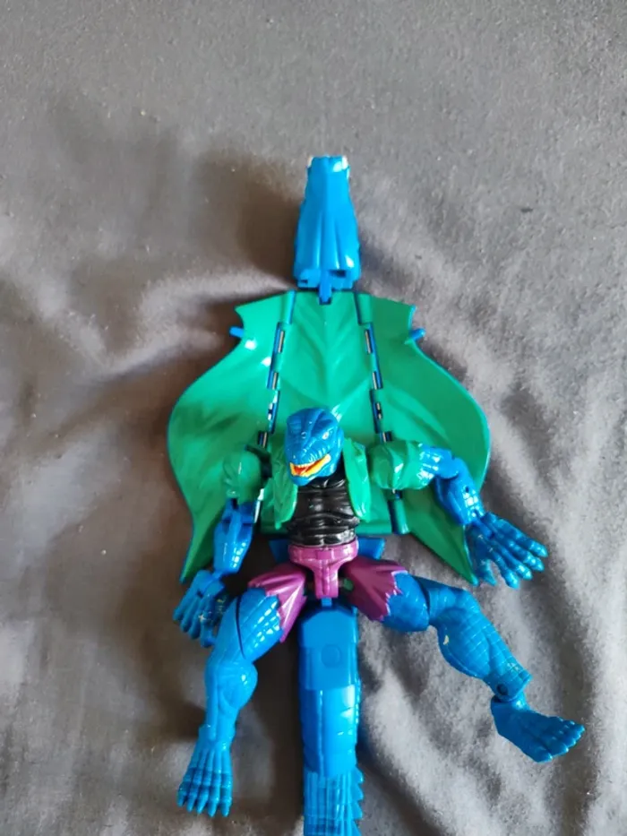 Lézard spiderman - photo numéro 2