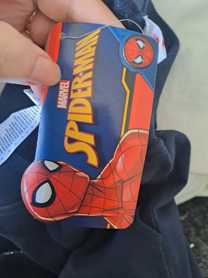 Bermuda spiderman - photo numéro 4