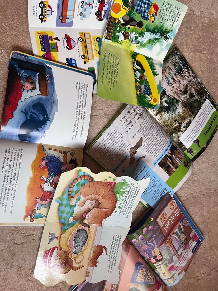 Lots de livre enfant - photo numéro 8