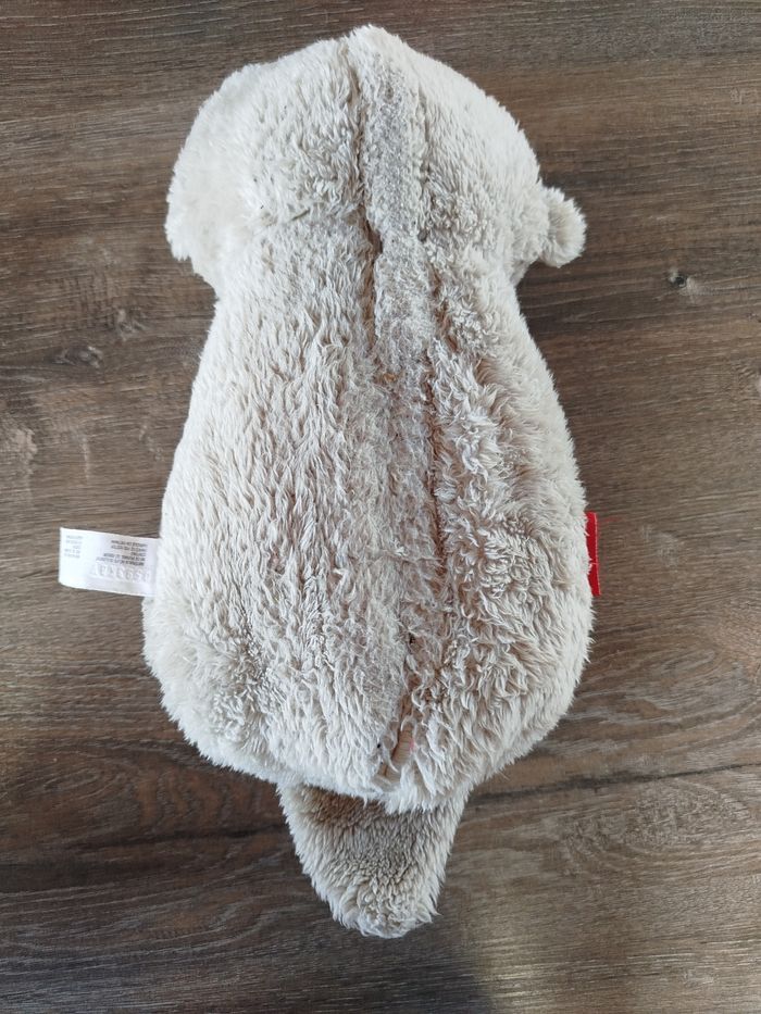 Loutre - photo numéro 2