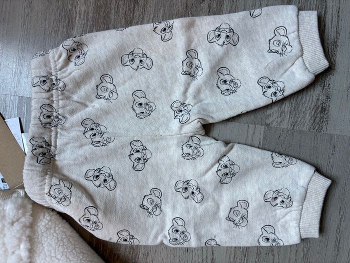 ensemble roi lion - photo numéro 3