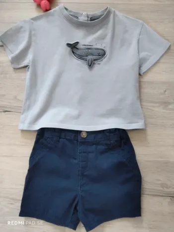 Ensemble baleine 9 mois