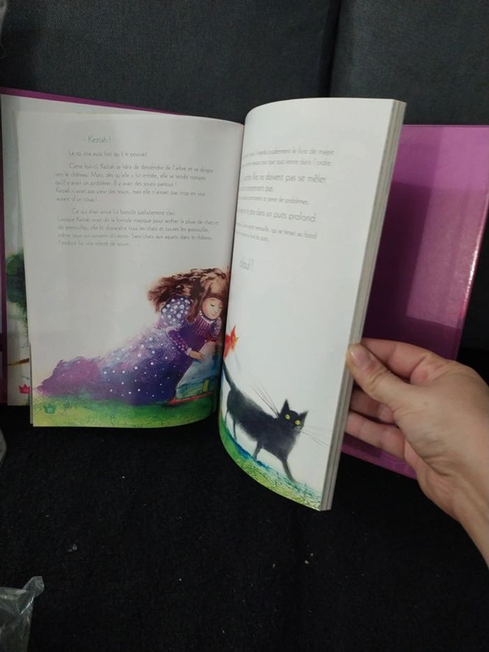 Livre - photo numéro 3