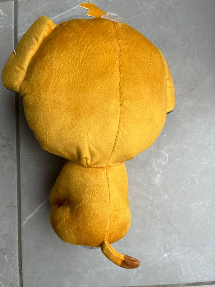 Simba - photo numéro 2