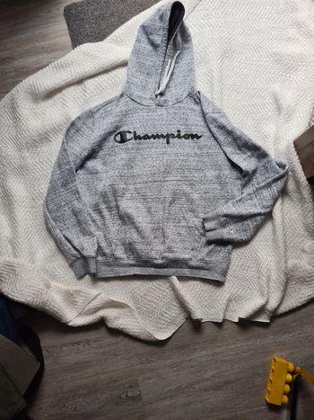 Pull capuche Champion