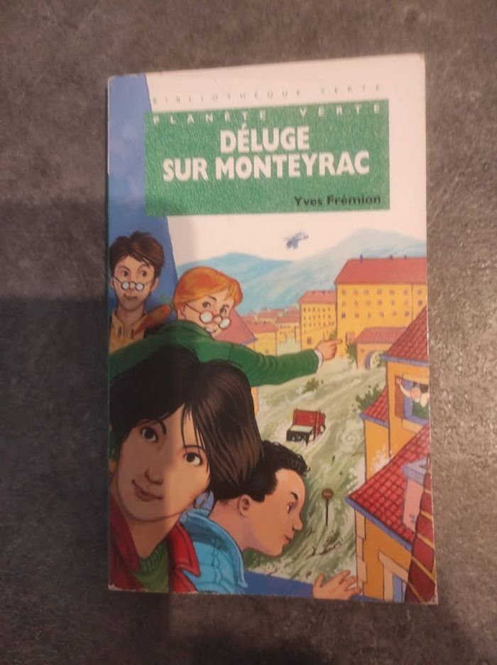 Déluge sur Monteyrac Yves Frémion Bibliothèque Verte 1997 - photo numéro 1