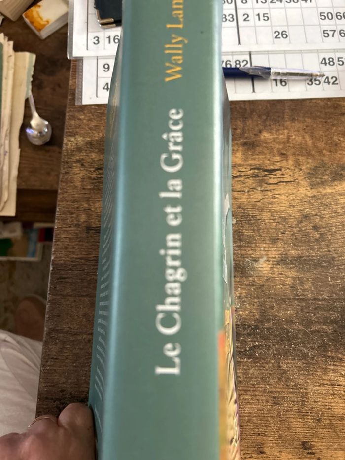 le chagrin et la grâce - photo numéro 3