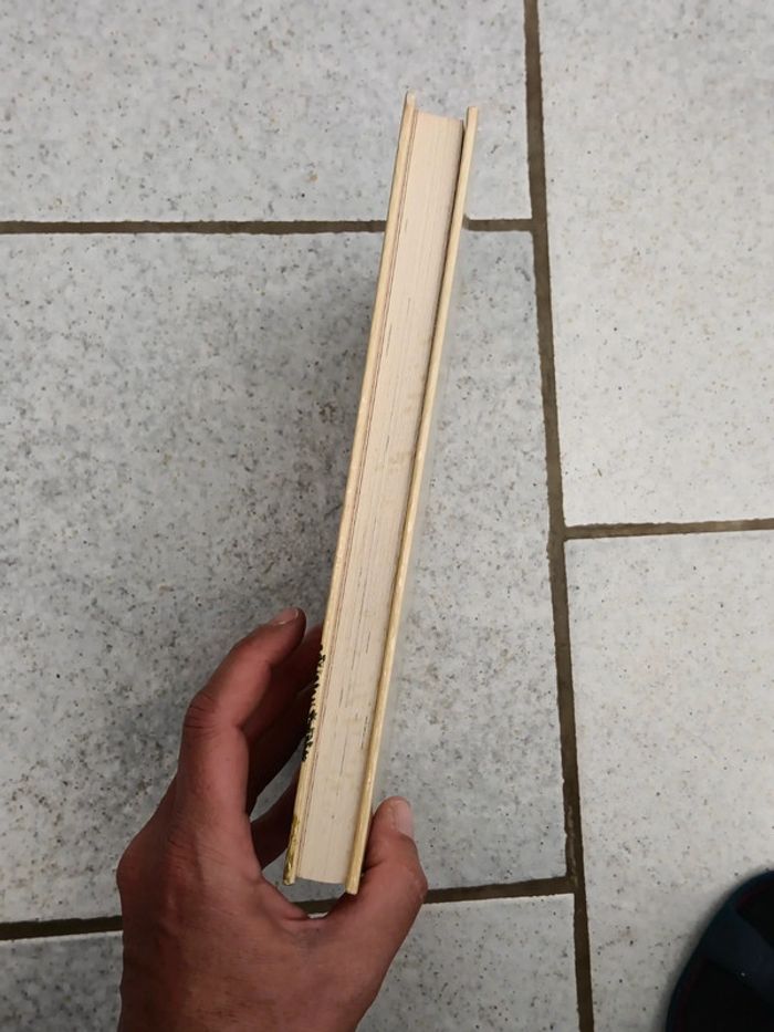 Livre ancien la comtesse de Ségur l'auberge de l'ange gardien - photo numéro 4
