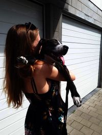 profil