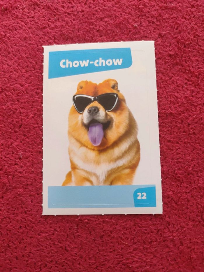 Carte nos amies les bêtes