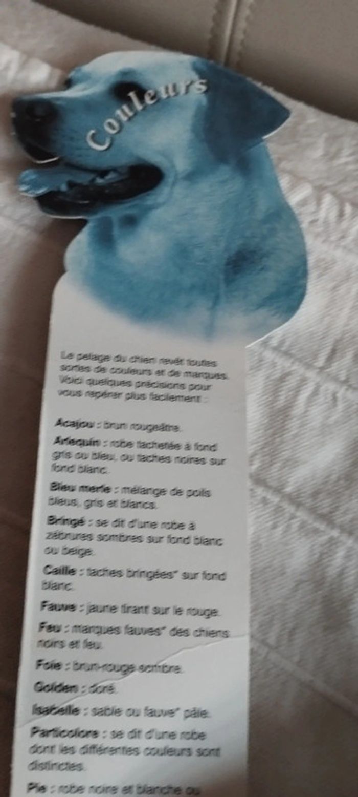 L'éventail des Chiens - photo numéro 8