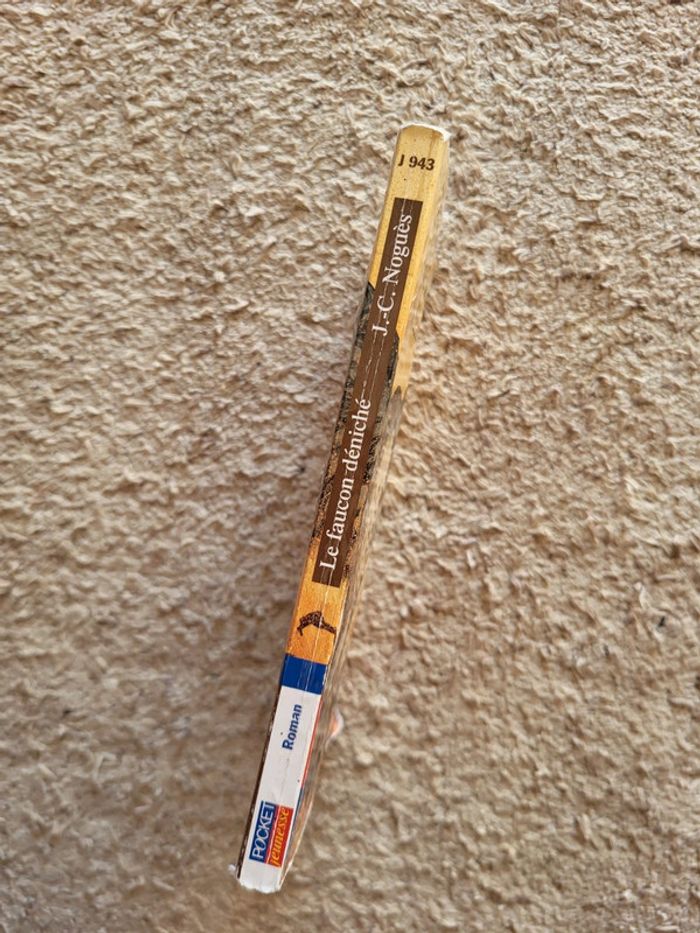 Roman jeunesse Le faucon déniché de Jean-Côme Noguès - photo numéro 4