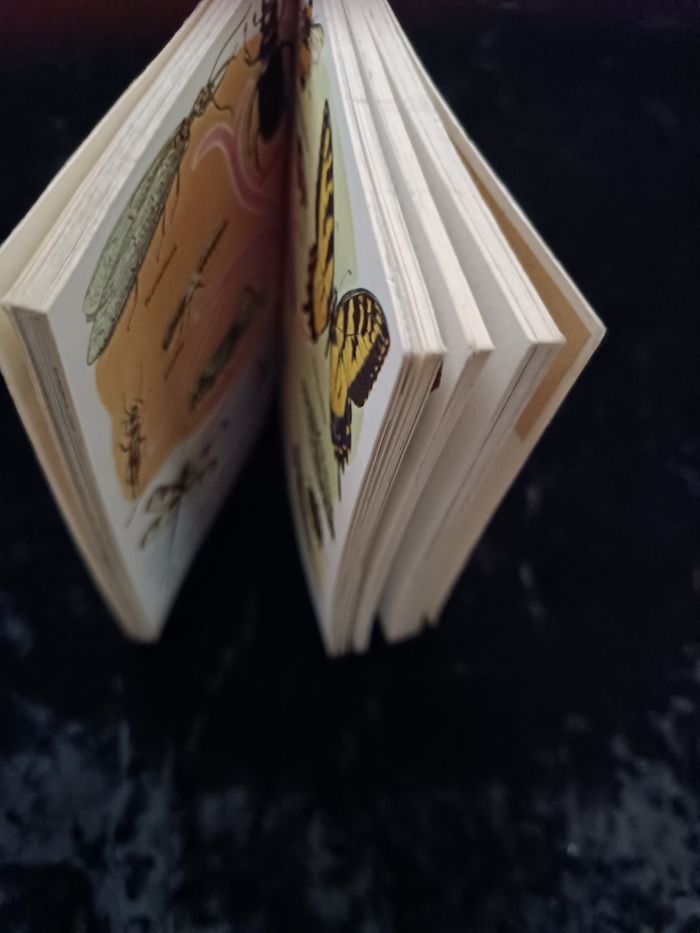 Petit guide règne animal Hachette - photo numéro 9