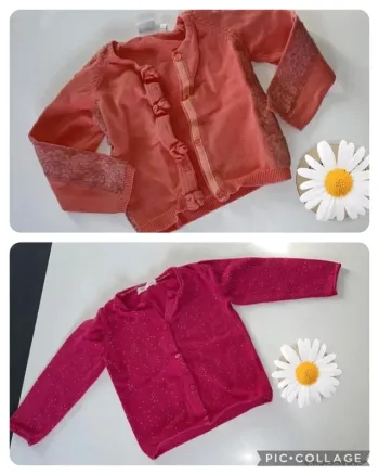 2 gilet