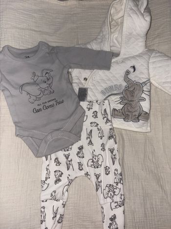 Ensemble dumbo 
