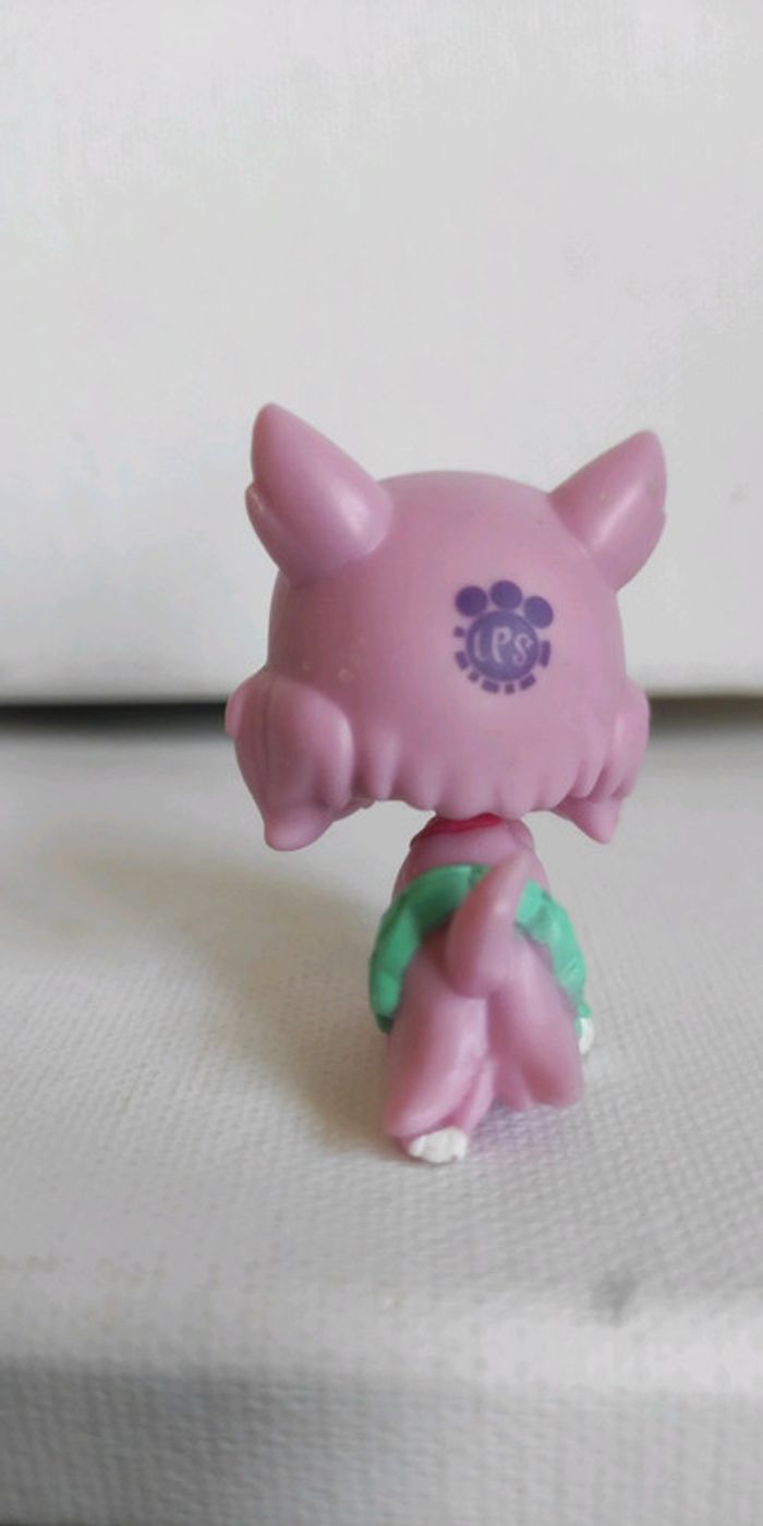 My littlest petshop chien westie 3686 woolma o'chic - photo numéro 4