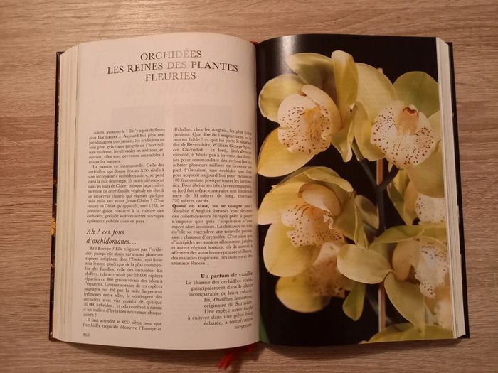 Livre broché "La maison fleurie" - Le guide le plus complet - photo numéro 6